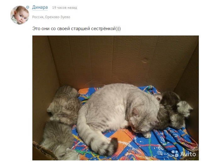 ebcddaafa433e07b9b861b5eb7a17f1a.jpg