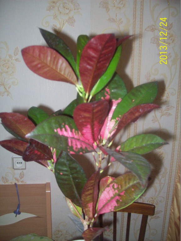 74fce2a3ddddc4d2880a6f243177c266.jpg