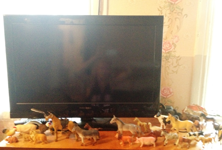 Лошадиный  БУМ