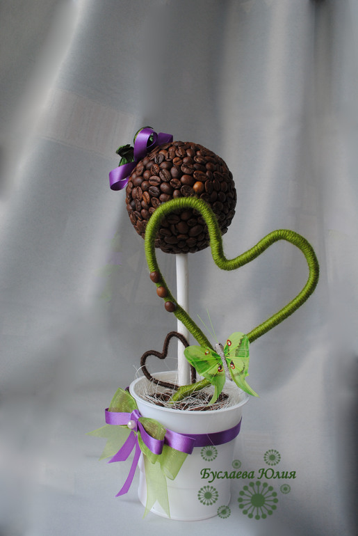 Кофейное дерево в подарок учителю.