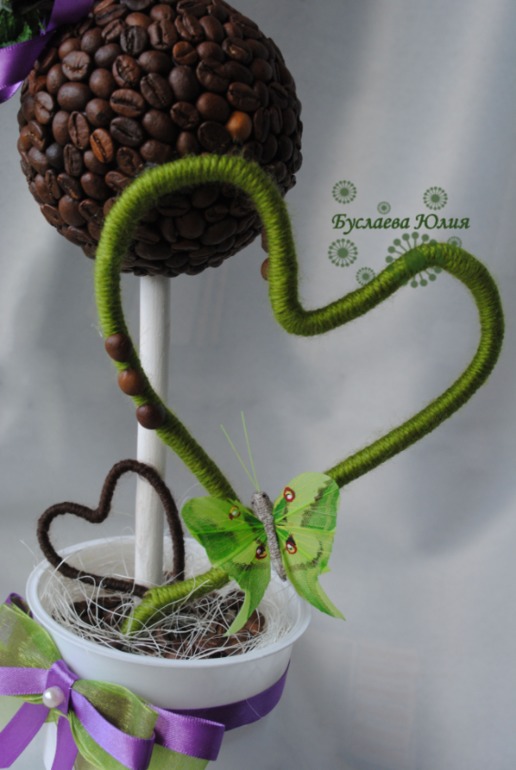 Кофейное дерево в подарок учителю.