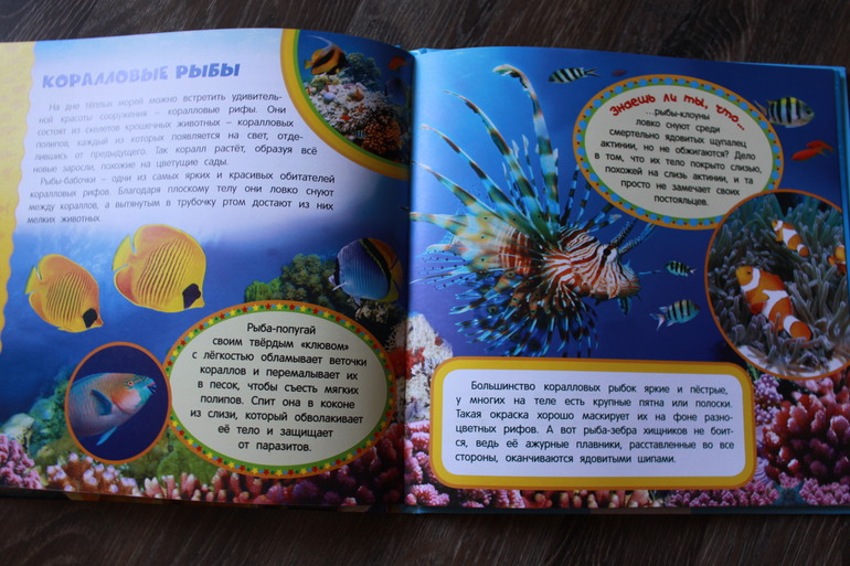 Наши долгожданные книги на 2,5 года + немного зимне-новогоднего