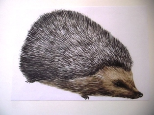 Мини-сказочное погружение)))