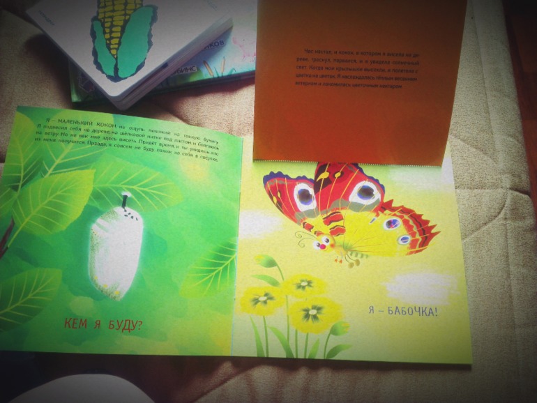 Пополнение библиотеки. Часть2