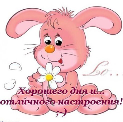 21ad8349efa3ca8edb2e391e4234a92b.jpg