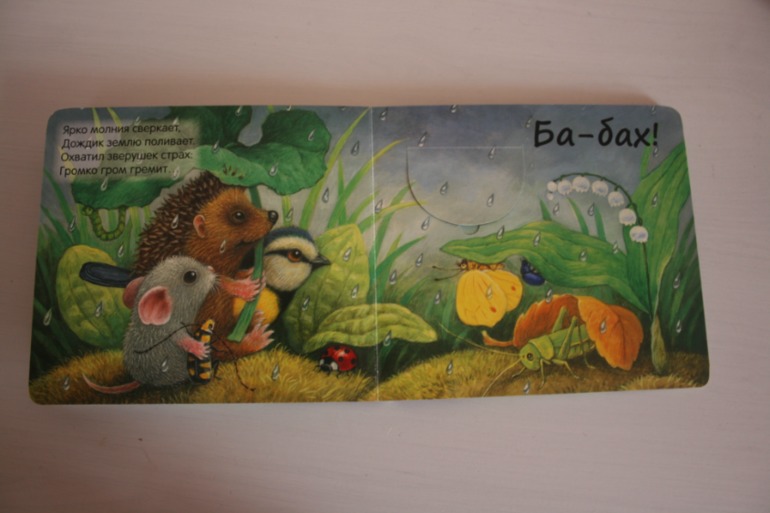 Что мы слышали в лесу и в деревне. Книжки с кармашками.