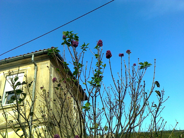 Скоро Новый год, а у меня за окном...