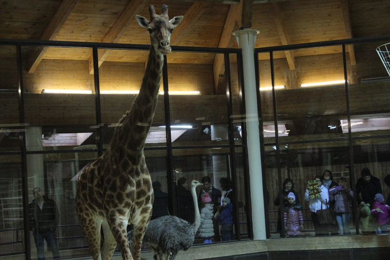 Осенний зоопарк!