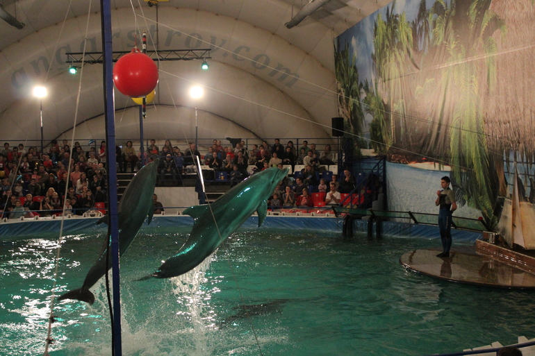 Дельфинарий!