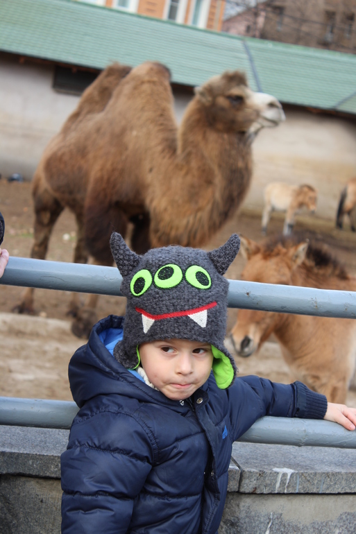 Осенний зоопарк!