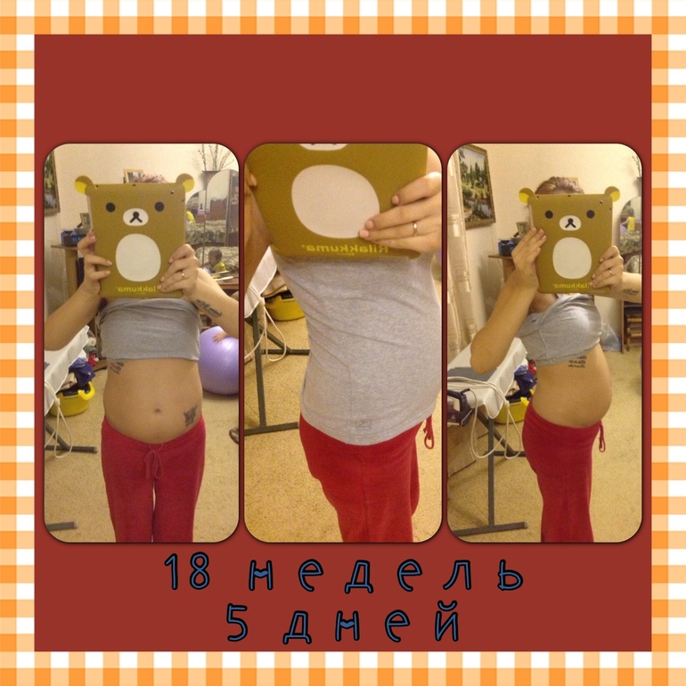 18 недель 5 дней
