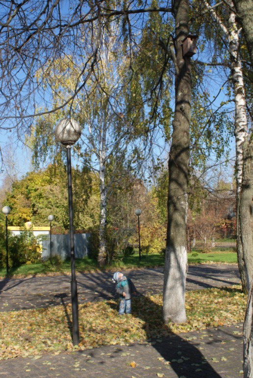 Погода порадовала!!!!!!!!!!! много фото))))