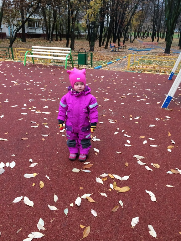 c0aa65ff18c61c5f29c431c7ab4f70a0.jpg