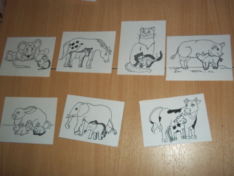 ТН Моя семья День 5 (заключительный)