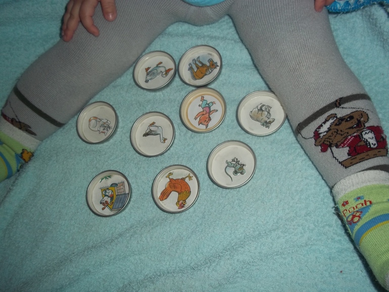 ТЗ Свинья, поросенок