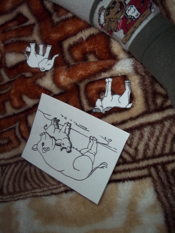 ТЗ Свинья, поросенок