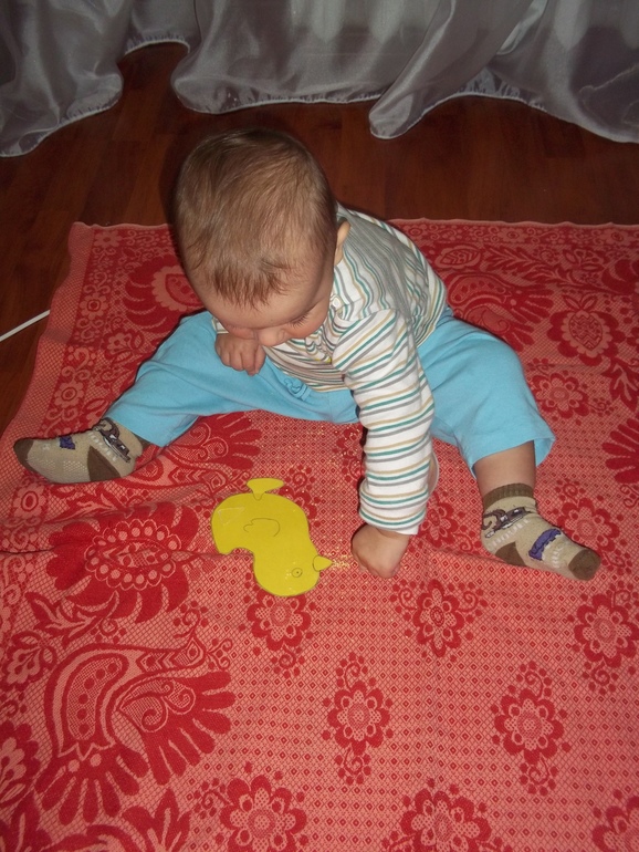 ТН Курица, петух, цыпленок