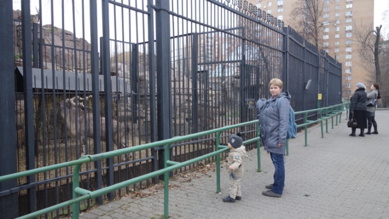 Погодки в зоопарке