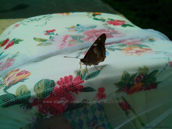 Кто видел эту расцветку в живую? Делитесь впечатлениями)