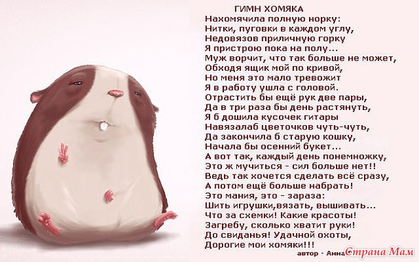 Гимн хомяка))