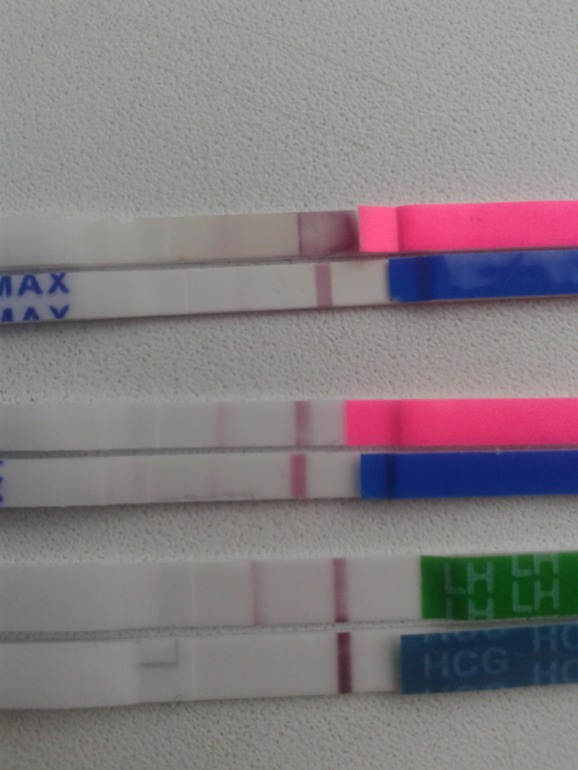 Тесты за сегодня(подробно)