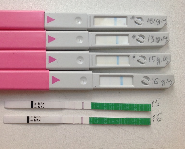 Овуляция на 16. 16 дц тест на беременность. Овуляция на 16. Тест на овуляцию 30 дней цикл. Овуляция.