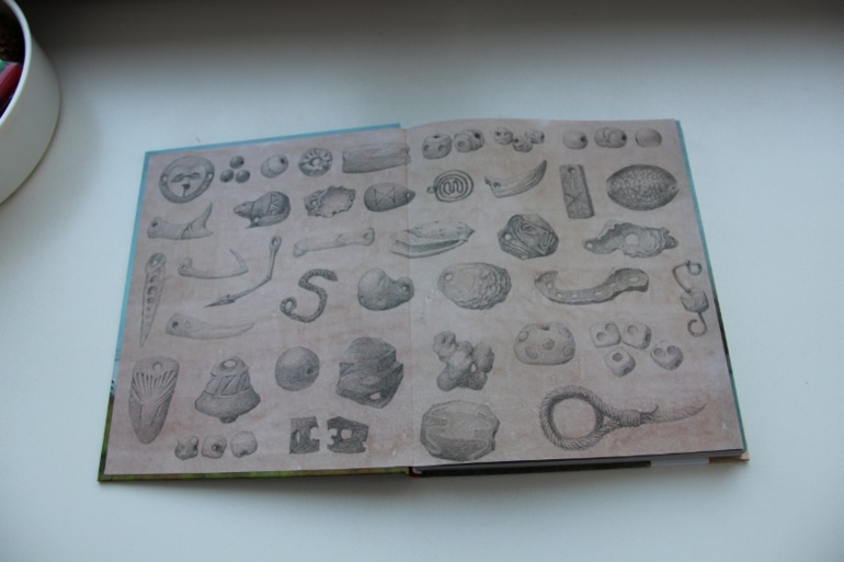 Ноябрьское пополнение