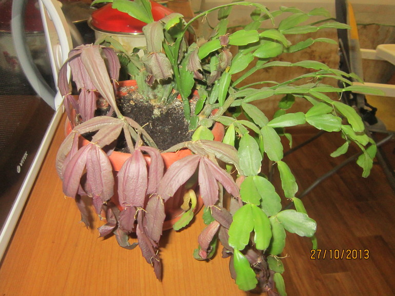 Можно- ли помочь?