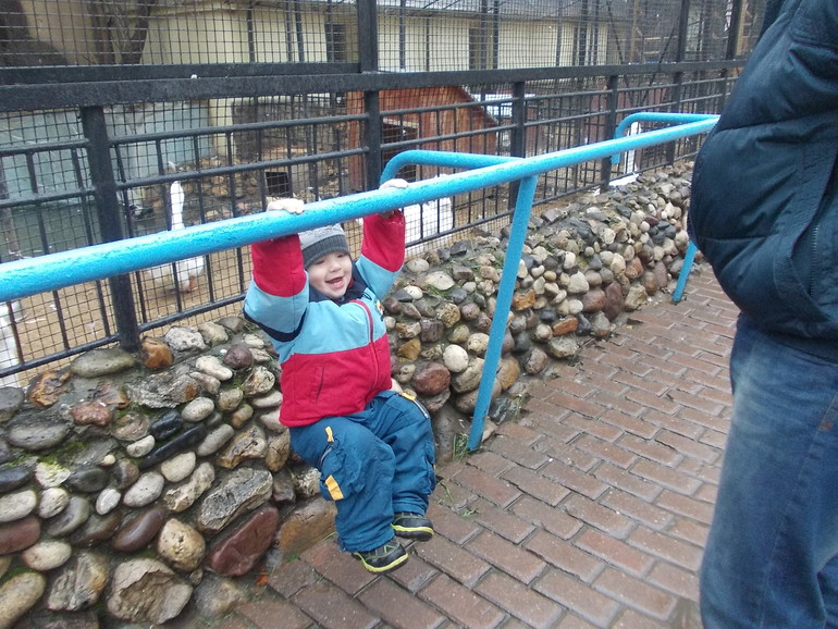 Наш вчерашний день. Зоопарк.