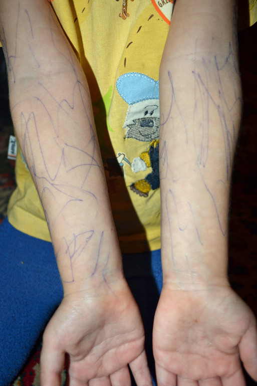 Скоро, скоро Новый год.