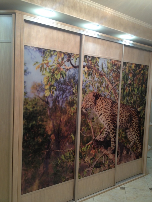 Шкафы- купе на заказ по индивидуальным проектам