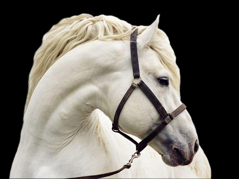 УРОК №2 Вырезаем объект