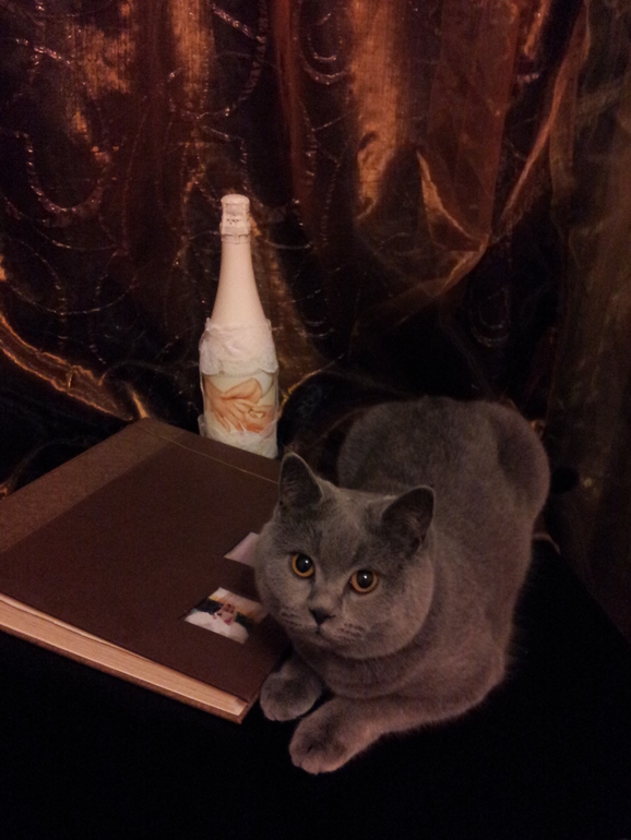 Новенькие бутылочки