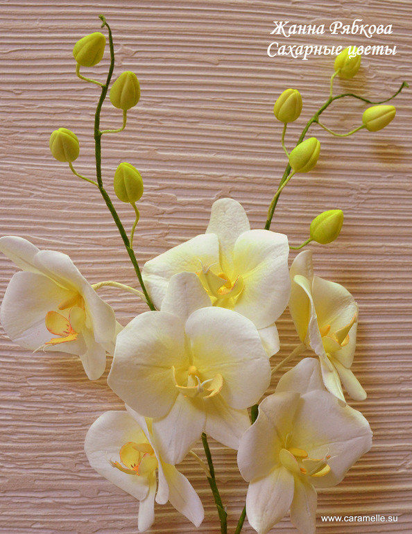 Курсы по Сахарной Флористике )))