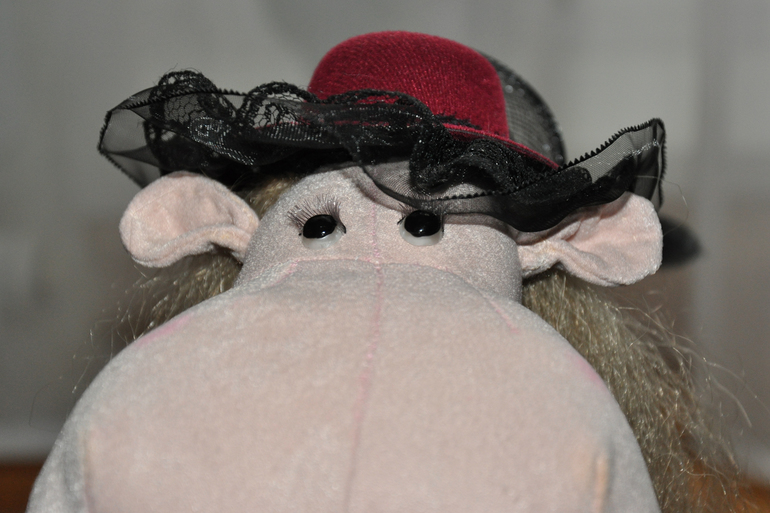 Ищем домик 29.10.2013