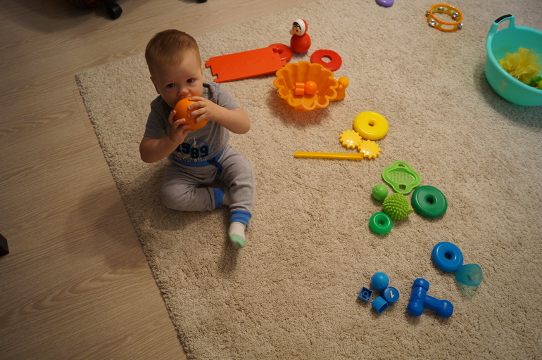 Занятия по Шичиде с 1,1 г.