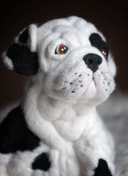 щенок английского бульдога Снежок