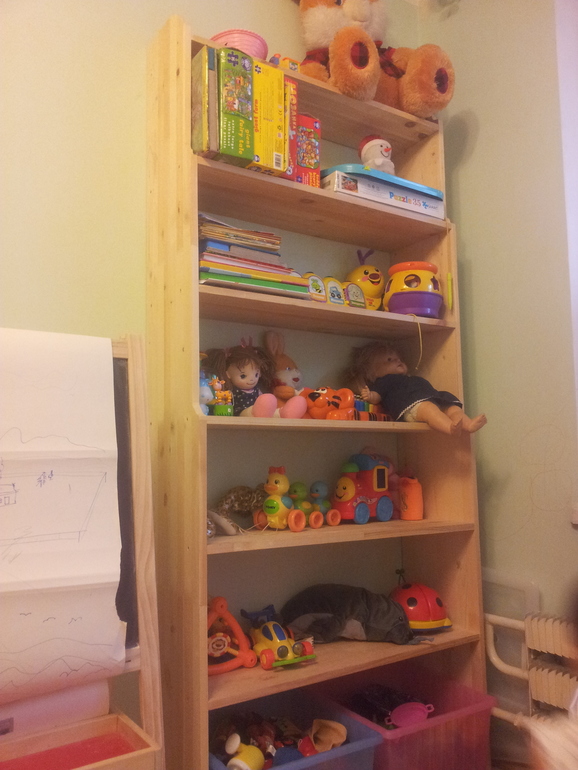 Вот такой стеллаж сделал папа детям в детскую.