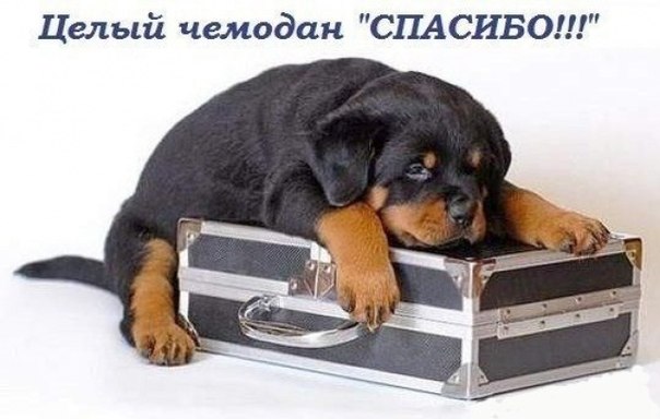 Подарочек-сюрприз))