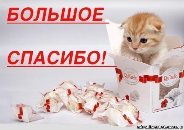 c31dba3a74df236bdc85dd8b7512e4b9.jpg