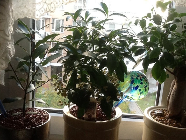 Это болезнь...:)