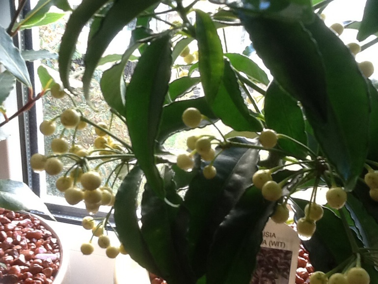 Это болезнь...:)