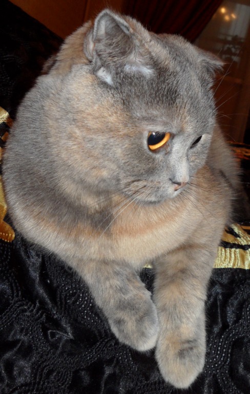 Взлет 67/3. Закрепляем результат.Подписываемся на задание Келли.