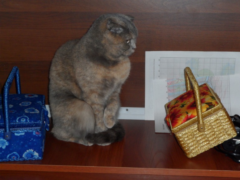 Взлет 67/2. Занимаемся собой и делаем напоминалки.