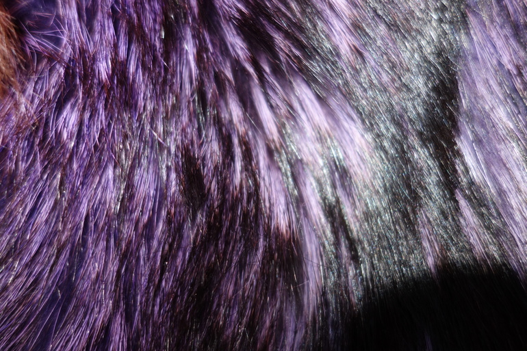 23944ffb614b0c1f94b3d468b13a05a2.jpg