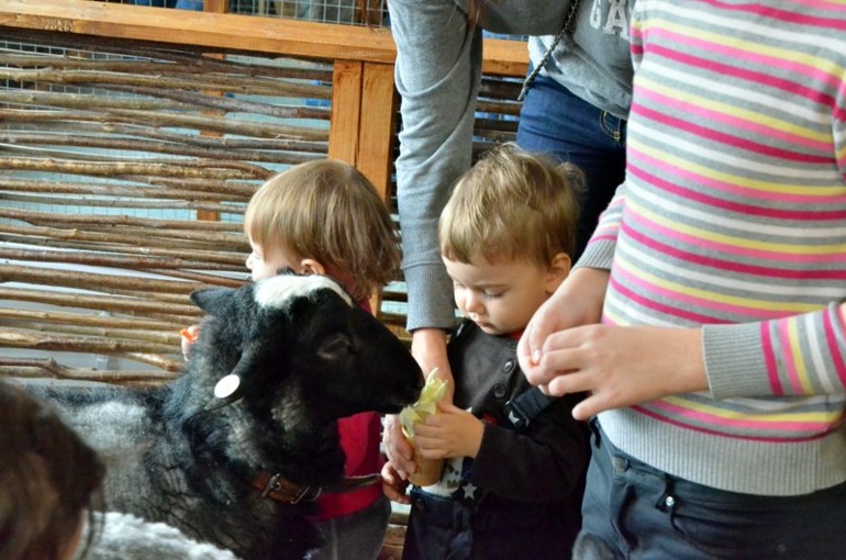 Контактный зоопарк на ВВЦ (много фото)