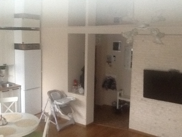 Кухня- гостиная и немного прихожей