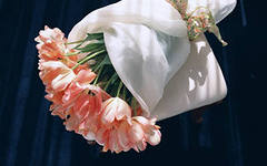 b27333eef6d3cb168555b933db4dbe37.jpg
