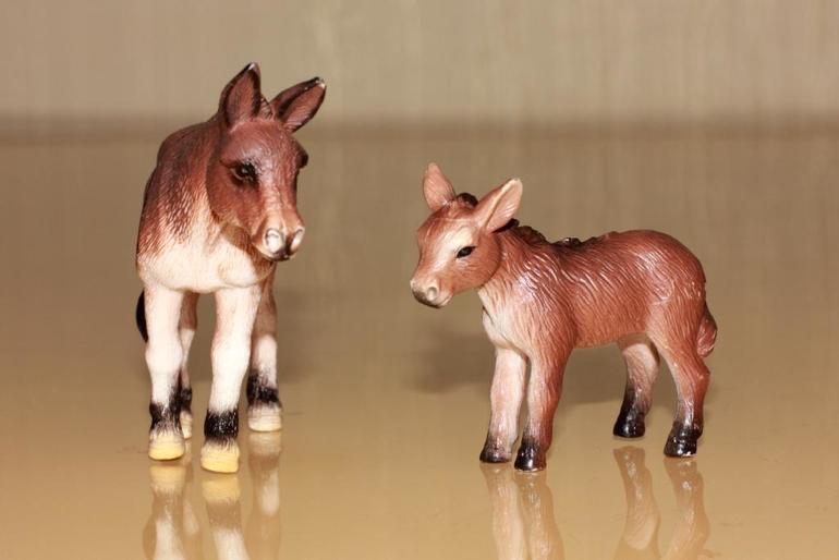 Изучаем животных.