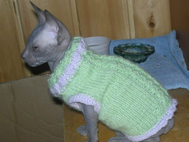 Девочки рукодельницы! Кто-нибудь вяжет на заказ ?